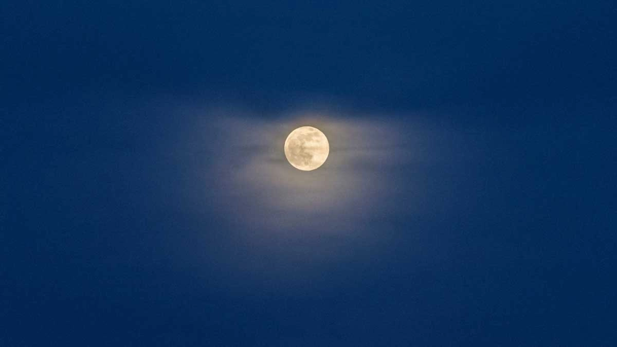 Vollemaanwandeling Lauwersmeer